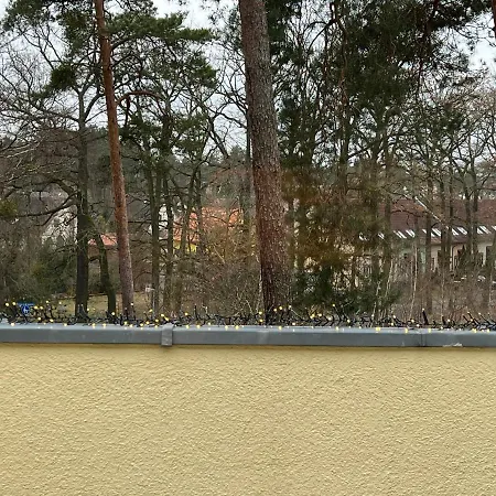 Im Heidepark *