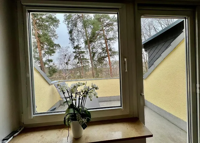 Im Heidepark * Дессау